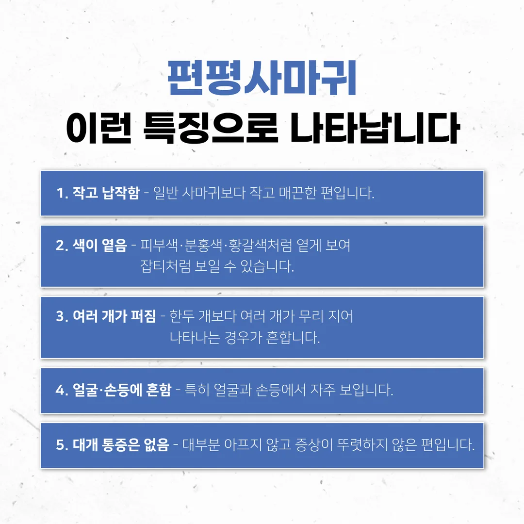 편평사마귀의 크기·모양·색·부위 특징을 정리한 도식