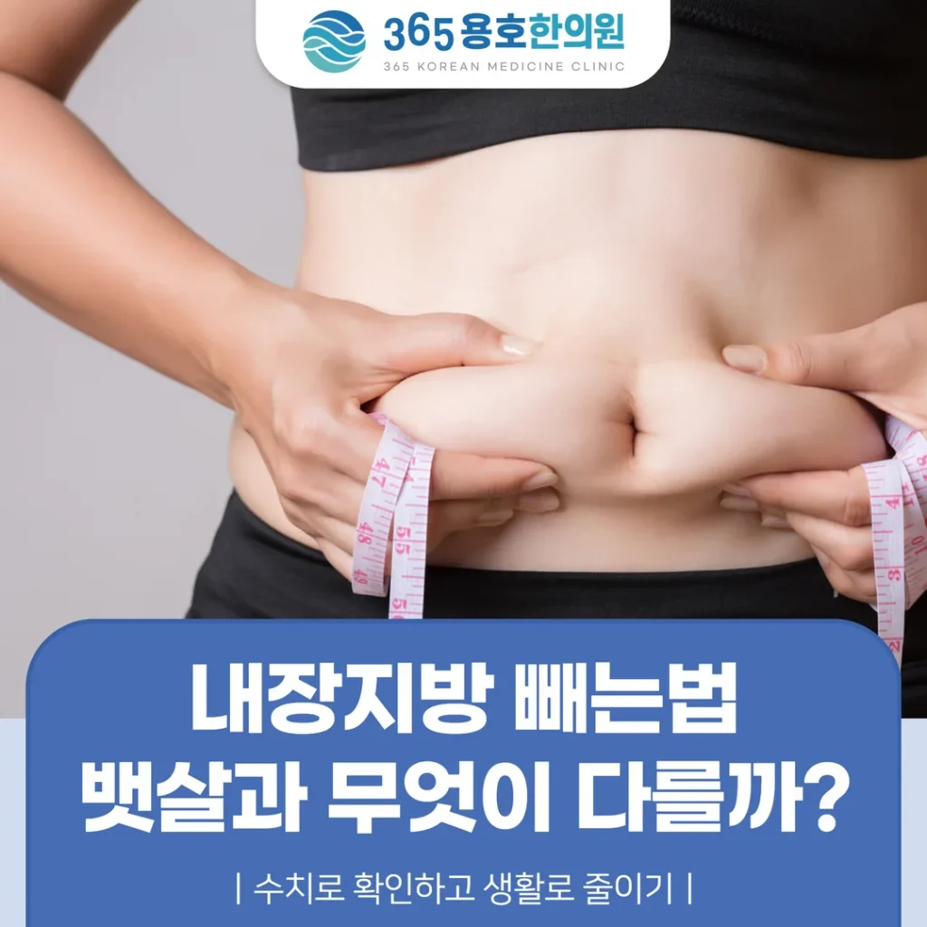 내장지방 빼는법, 뱃살과 무엇이 다를까 — 수치로 확인하고 생활로 줄이기
