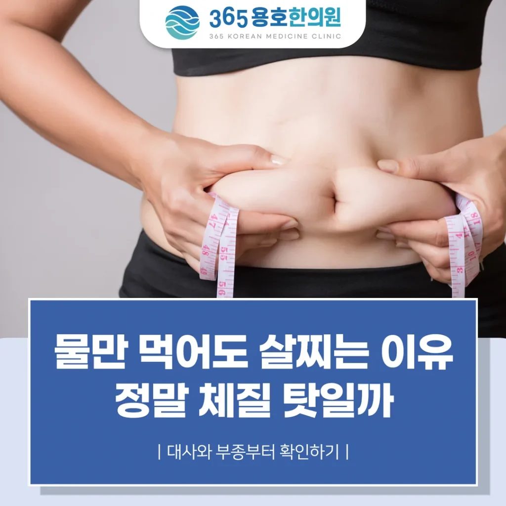 물만 먹어도 살찌는 이유, 정말 체질 탓일까 — 대사와 부종부터 확인하기