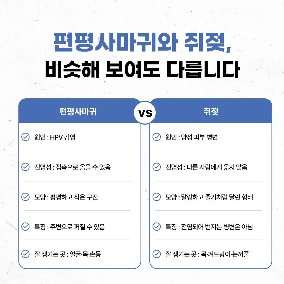 편평사마귀와 쥐젖의 원인 전염성 모양 부위 비교 인포그래픽