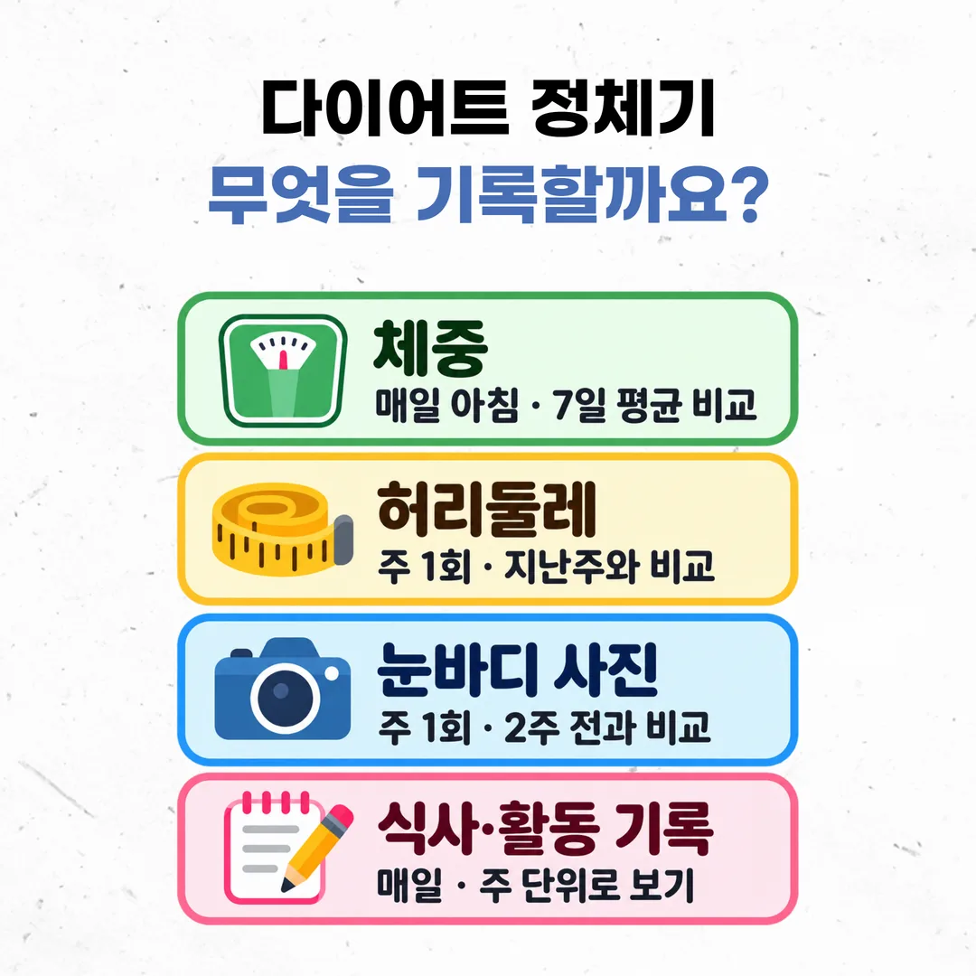 체중과 허리둘레, 눈바디 사진, 식사 기록의 측정 조건을 정리한 도표