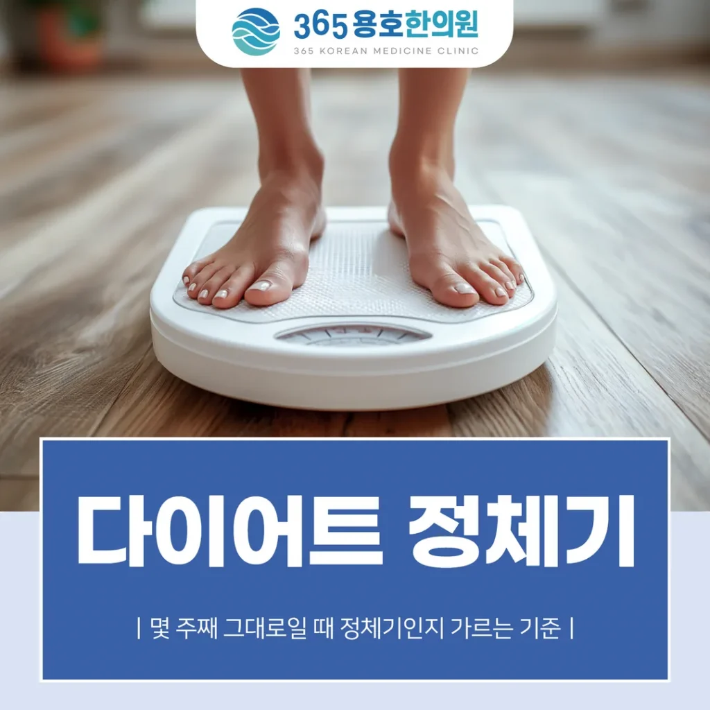 다이어트 정체기, 몇 주째 그대로일 때 정체기인지 가르는 기준