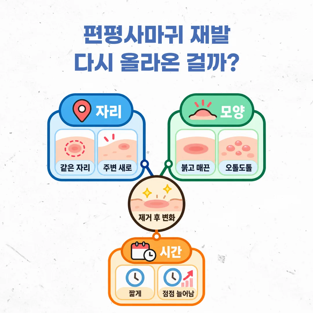 편평사마귀 재발과 회복 반응을 자리 모양 시간으로 구분하는 기준 개념도