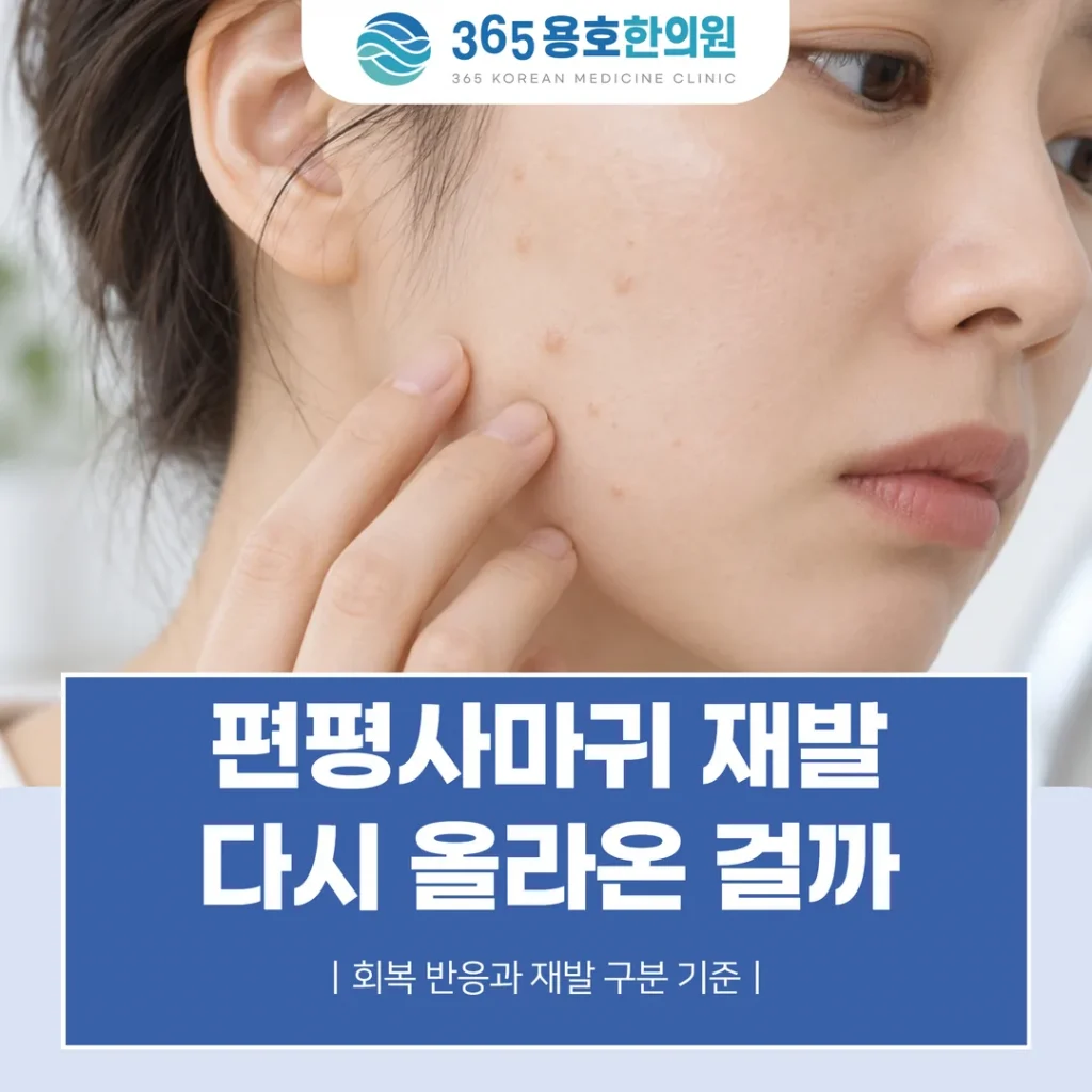 편평사마귀 재발, 다시 올라온 걸까 — 회복 반응과 재발 구분 기준