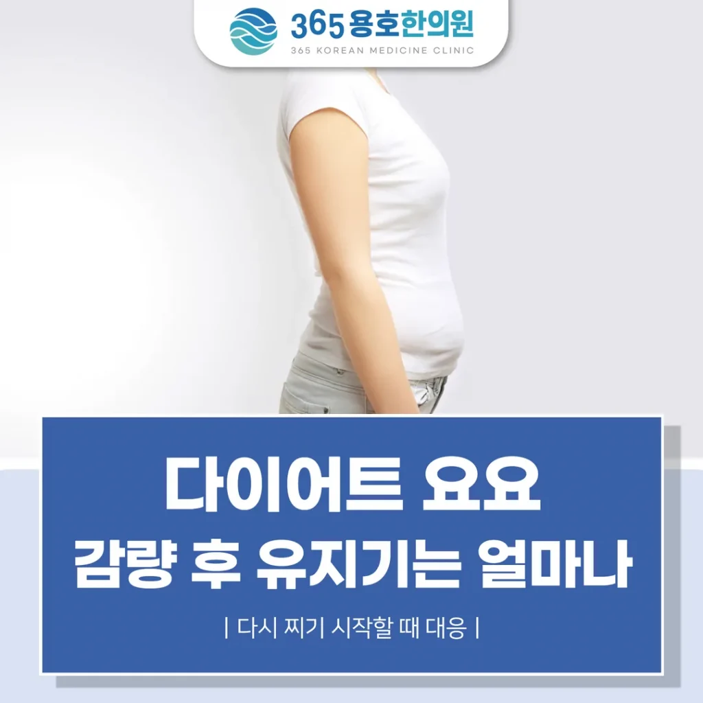 다이어트 요요, 감량 후 유지기는 얼마나 — 다시 찌기 시작할 때 대응