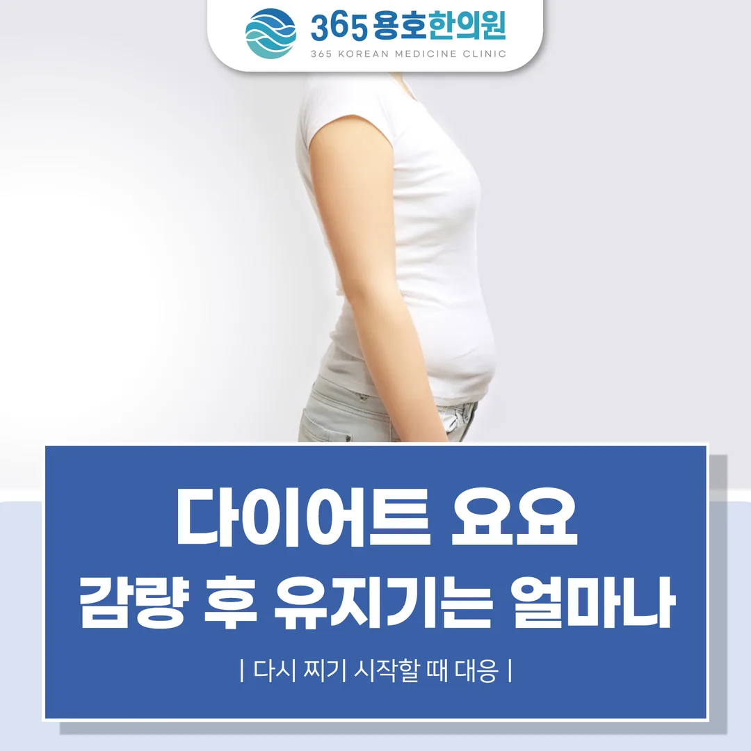 다이어트 요요, 감량 후 유지기는 얼마나 — 다시 찌기 시작할 때 대응