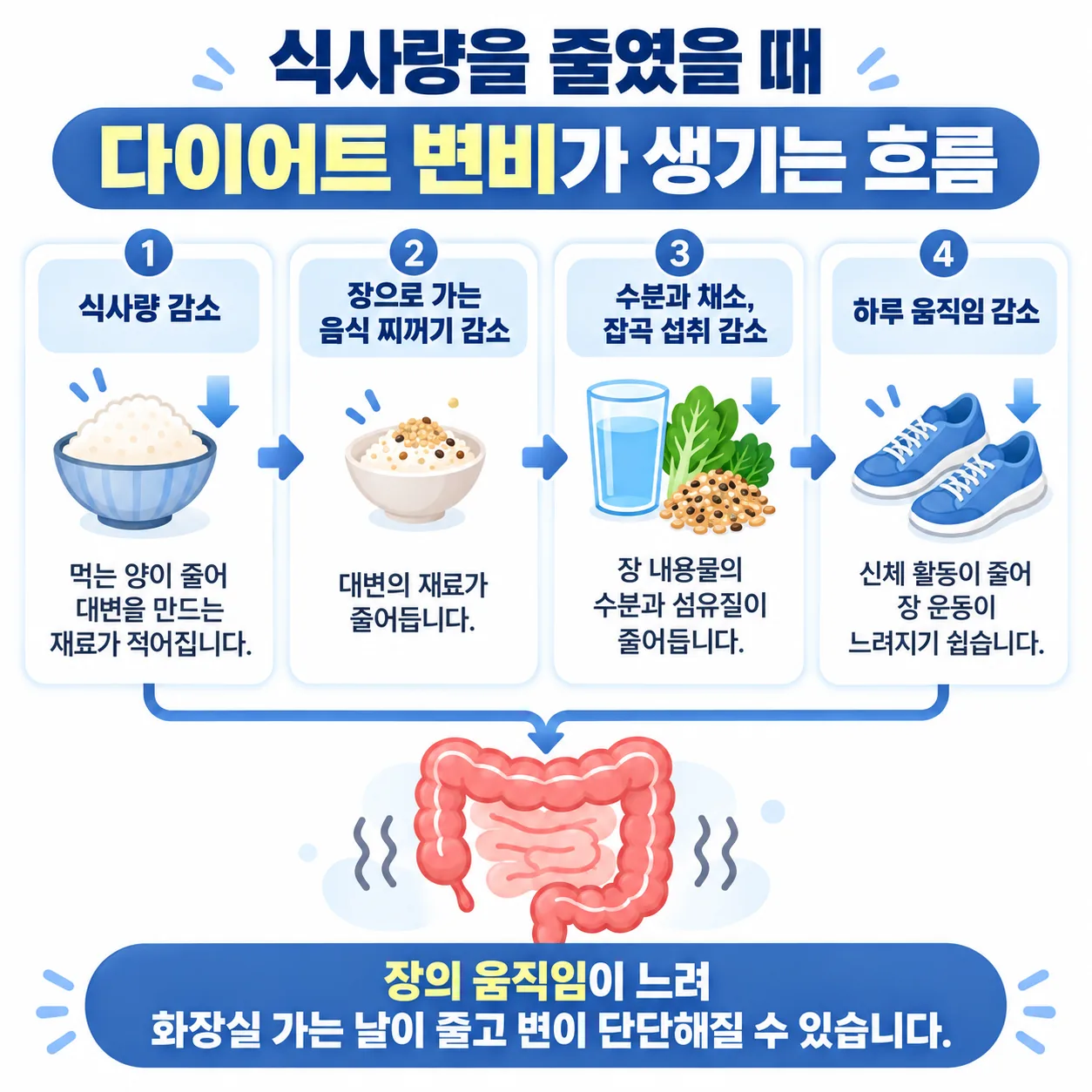 식사량을 줄였을 때 다이어트 변비가 생기는 흐름 개념도